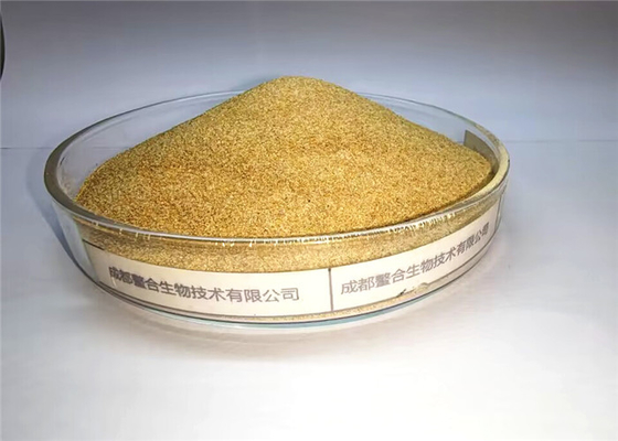 Premix Chelated ácidos aminados do iodo do selênio do manganês co do zn do fe do cu de minerais dos elementos de traço da categoria da alimentação