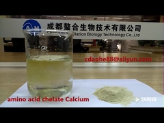 Potássio Quelatado com Aminoácidos e Peptídeos Bio Orgânicos Promove o Crescimento