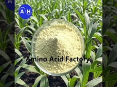 Hidrolizados vegetais ricos em peptídeos e aminoácidos com processo enzimático e de fermentação