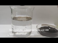 Aminoácidos misturados com algas marinhas e compostos de ácido húmico como fertilizantes para pulverização e irrigação de folhas