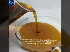 Estimulante do crescimento vegetal com minerais quelatados de aminoácidos e molibdênio orgânico