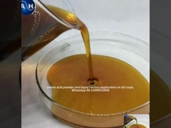 Amino Acid Chelated Potassium For Fruit Color Promoting Red Color Development (Acido Amino Quelado Potássio para Frutas)