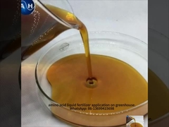 Fertilizante líquido para árvores Pulverização foliar Boro Quelado Molybdeno de cálcio