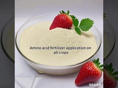70% de fertilizantes à base de aminoácidos 100% de fertilizantes solúveis em água
