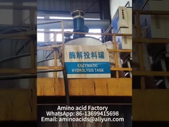 Fertilizante em Pó de Aminoácidos Naturais para o Crescimento das Plantas Quelato de Magnésio