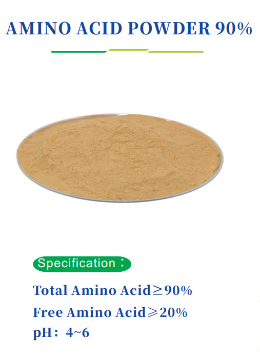 Últimos blogs da empresa sobre NOVO CHEGANDO/ pó de aminoácidos 90% sem hidroxiprolina