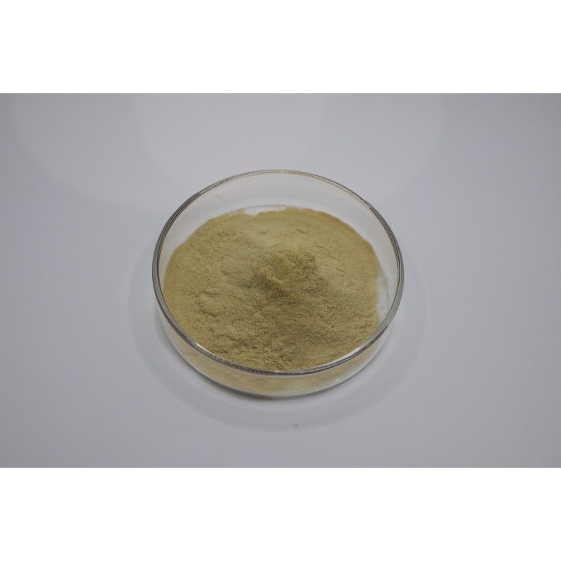 Últimos blogs da empresa sobre From Fermentation to Quality Testing: A Technical Guide to Evaluating 90% Fertilizer Grade Amino Acid Powder