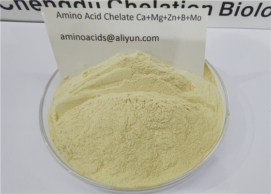 comprar Aminoácidos Quelados Oligoelementos Cálcio Magnésio Zinco Boro Molibdênio online manufacture