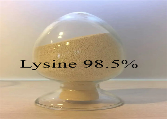 comprar HCl aditivo 98,5% da L-lisina da alimentação para que o animal promova o crescimento saudável online manufacture