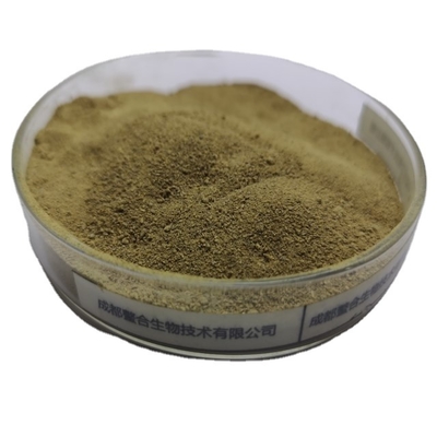 comprar Tipos nutriente essencial do pó 18 do ácido aminado 80% da fonte da planta da Espanha que promove o crescimento saudável forte online manufacture