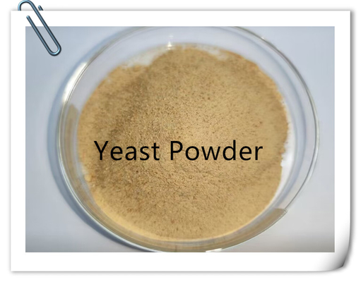 comprar Resíduos vivos Levedura em pó rica em vitaminas B e micronutrientes orgânicos, 40 kg/saco online manufacture