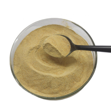 comprar Levedura em pó de cervejarias com alto teor de vitamina E com um teor de humidade inferior a 13% online manufacture