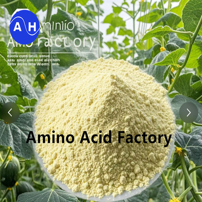 comprar Hidrolizados vegetais ricos em peptídeos e aminoácidos com processo enzimático e de fermentação online manufacture