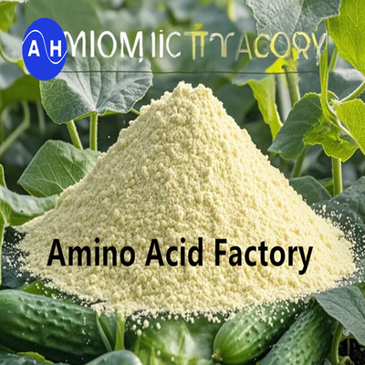 comprar Melhore a absorção de nutrientes e a resistência ao estresse com o fertilizante foliar Amino Acid Plus online manufacture