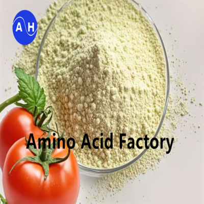 comprar Fertilizante em pó de aminoácidos de alta eficiência 90% para aumento da produção agrícola Amino Plus Fertilizante foliar online manufacture
