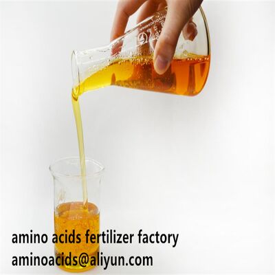 comprar Fertilizante líquido de aminoácidos hidrolisados a 80% com 800g/L de aminoácidos totais e ≥12,0% de nitrogênio total para nutrição aprimorada das culturas online manufacture