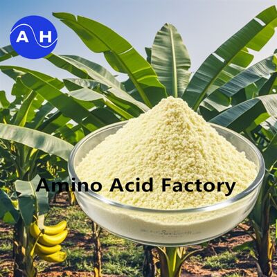 comprar Aminoácido Quelado Fertilizante Cálcico com 25% de Aminoácido Total e 100% Solúvel em Água para Plantações de Banana para Melhorar o Set de Frutas e o Transporte de Nutrientes Fabricação em linha