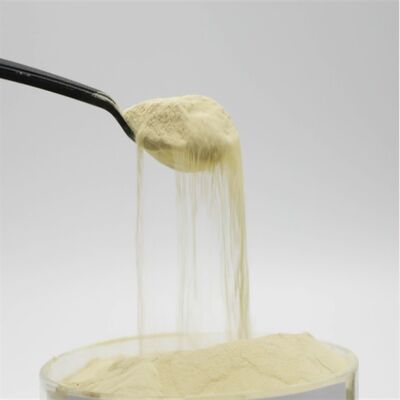 comprar Fonte de Proteína de Milho em Pó de Aminoácidos 85% Aminoácidos Livres com Processo de Hidrólise Enzimática e 100% Solúvel em Água Fabricação em linha