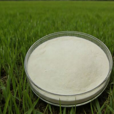 comprar Pó de aminoácidos hidrolisados ​​de milho com grau de fertilizante agrícola 85% Fabricação em linha