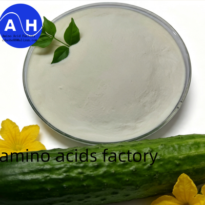 comprar Aminoácido de Proteína de Milho 80% com Tecnologia de Hidrólise Profunda, 100% Solúvel em Água e Fonte Não-OGM Fabricação em linha
