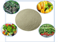 Fertilizantes orgânicos que contenham aminoácidos quelosos, cálcio e boro na nutrição das plantas