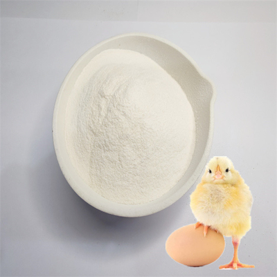 Melhorar a função imunológica com o suplemento de quelato de ferro de metionina para animais