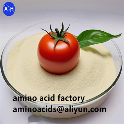 Proteína Vegetal Hidrolizado Aminoácido em Pó 90% com alto teor de histidina Para Nutrição Orgânica de Plantas