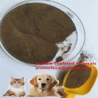 Tipo de Ração de Proteína Animal de Micobactérias com Proteína Bruta Superior a 70%