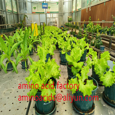 Non-GMO Soybean-Derived Liquid Amino Acid Fertilizer with 400g/L Free Amino Acids and Fully Water Soluble Formula
